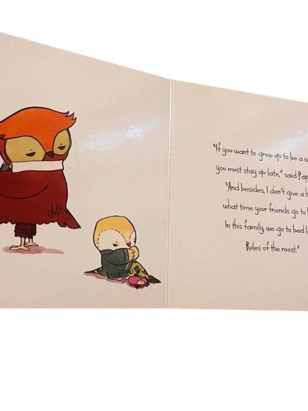 Little Hoot by Amy Krouse Rosenthal Board Book